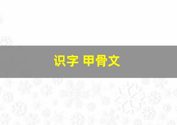 识字 甲骨文